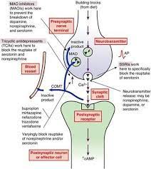 Pin By Alex Morar On Psychology Nursing Mnemonics Psychiatric Nursing Pharmacology Nursing