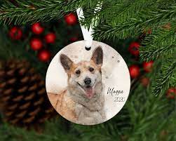 Check spelling or type a new query. 2020 Christmas Ornament With Dog Corgi Ornament 2020 Dog Etsy Christmas Gifts For Pets Dog Christmas Gifts Corgi Gifts