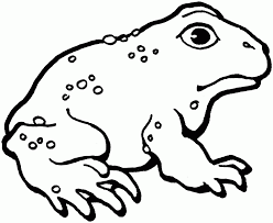 Toad coloring pages to print. Pin On Animal Coloring Pages