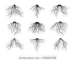 Trees With Roots Images Stock Photos Vectors Shutterstock Tree Roots Tattoo Roots Tattoo Tree With Roots Drawing