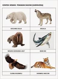 Download now harimau vs 2 anjing siapa yang menang. Foto Gambar Hewan Carnivora Gambar Hewan Hewan Binatang