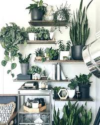 Pin On Artificial Plants Outdoor Beautiful