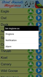 Android Icin Kus Sesleri Bildirim Sesleri Apk Yi Indir