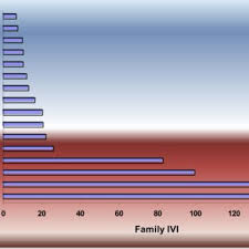 Image result for Aneulophus congoensis