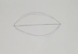 I'm using autodesk sketchbook in the video but you can use any software to. How To Draw Realistic Lips Beginner Art Tutorial Art By Ro