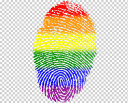 Chromosome x transgender intersex flag lgbtq flags lgbt community pen sets decir no uganda prince. Bandera Del Arco Iris Lgbt Homosexualidad Lesbiana Orgullo Gay Amistad Fondo De Pantalla De La Computadora Grupo Social Png Klipartz