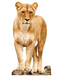 Download Lion Free Png Transparent Image And Clipart If you use the image, credit silhouettegarden.com as the source. download lion free png transparent
