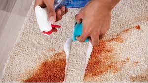 Urine pour animaux dans les tapis. Comment Nettoyer Son Tapis A La Perfection Voici Nos 4 Astuces