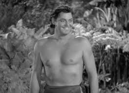 images?q=tbn:ANd9GcS7dNiUpn2-SJaKz4lTF1B