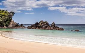 11 Beautiful Secret Beaches In New Zealand A collection of the top 46 new zealand wallpapers and backgrounds available for download for free. 11 beautiful secret beaches in new zealand