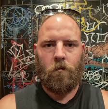 Armadillo in Indiana! Armadillo were first observed in Indiana in 2003 and  have since began breeding and establishing a growing population. The  nine-banded Armadillo is the only species of Armadillo in the