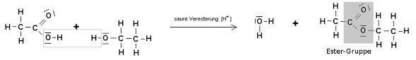 Aber bei leibe kein kavaliersdelikt. Die Esterbildung Am Beispiel Von Ethansaureethylester Chemiezauber De