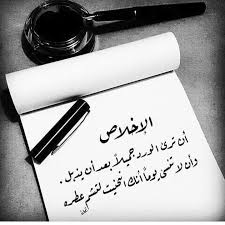 رسائل تحفيزيه on instagram تابعونا على انستغرام ssss1aaa تحفيز إجابية اقوال calligraphy quotes love spirit quotes words quotes