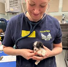 Tommy Crockett Memorial Rescue Run at Two Rivers Ford