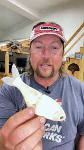 Are spinnerbait trailers over hyped? #question #spinnerbait #fishing  Nichols Lures