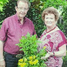 4210 82nd st ste 224, lubbock tx, 79414. Ivey Gardens Greenhouses Home Facebook