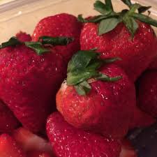 types of strawberry plants information about different