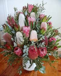 Pin On Protea Flower