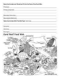 Coral Reef Food Web Activity Life Science Classroom Food Web Activities Food Web