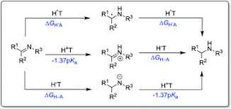 Imines are typically prepared by the condensation of primary amines and aldehydes and less commonly ketones. Understanding The Role Of Thermodynamics In Catalytic Imine Reductions Chemical Society Reviews Rsc Publishing