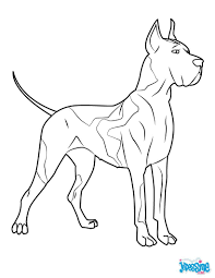 Epingle Sur Coloriages Animaux Domestiques