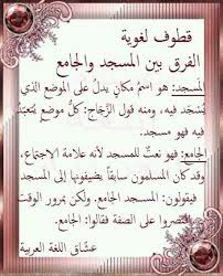 Pin By Sura Adnan On اللغة العربية In 2020 Arabic Words Arabic Language Arabic Langauge