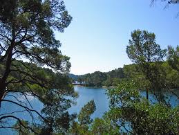 Autour du petit lac, on compte certains jours une trentaine de petits groupes comportant chacun de 5 à 6 joueurs. La Ville De Polace Polace Dans L Ile De Mljet En Croatie