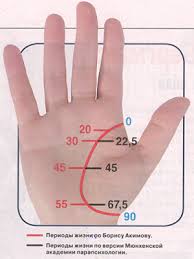 как по линиям на руке узнать сколько будет браков O Chem Mozhet Rasskazat Liniya Zhizni Palm Reading Palmistry Fitness Body