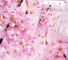 Haru decides to meet both girls and see who fits him the most, switching back. Download Pink Sakura Theme Free For Android Pink Sakura Theme Apk Download Steprimo Com