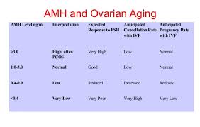 Low Amh Ivf Your Essential Guide Pt3 Advanced