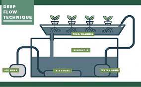 How Deep Flow Technique Dft Hydroponic Systems Work Pure Greens Custom Container Farms