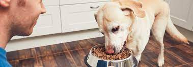 5 Best Vegetarian Dog Food Apr 2020 Bestreviews Vegetarian Dog Food Recipe Dog Food Recipes Vegan Dog Food