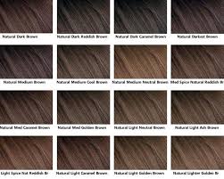 28 Albums Of Different Shades Of Brown Hair Dye Chart