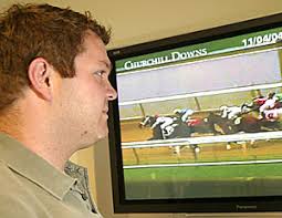 Arizona Daily Wildcat