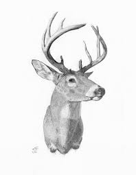 Black And White Deer Head Drawing Pin By Fair Folk Pottery On Kelsey S Tattoo Deer Drawing Deer Painting Drawings