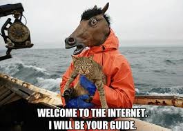 Image result for welcome to the internet meme