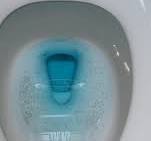 What is the best way to get mold off a toilet seat/bowl for ...