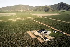 The original stone winery was founded in 1884 by s.p. Matias Zegers Arquitectos Builds Stone Courtyard House In Chilean Wine Country Free Autocad Blocks Drawings Download Center