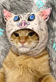 Pets Photo Prop Demon Slayer Kimetsu No Yaiba Inosuke Hashibira Hooded Hat For Cats Pet Costumes Cat Pet Photo Prop Pet Costumes