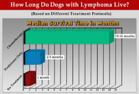 Dogs with mediastinal lymphoma typically have difficulty breathing. Prednisone For Dog Lymphoma Don T Make This Common Mistake