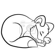 Malvorlage fuchs einfach malvorlagen fur kinder ausmalbilder fuchs kostenlos. Malvorlagen Wilde Tiere Kleine Susse Fuchs Schlaft Fototapete Fototapeten Schlau Schone Farbung Myloview De