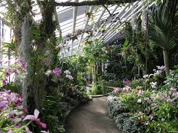 Give server info, news and more with botghost's custom discord commands. Botanischer Garten Interessanter Ort Maqnify Com