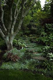 My Inner Landscape Beautiful Gardens Woodland Garden Landscape Design