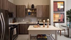 Fort Lauderdale Fl Apartment Rentals Modera Port Royale Apartment Kitchen Apartment Communities Rental Apartments