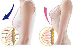 Per farlo in modo naturale, invece, bisogna avere alcuni accorgimenti. Far Crescere Il Seno In Palestra Gli Esercizi Per Una Taglia In Piu
