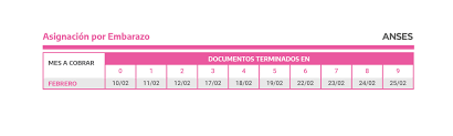 El 50 % de $ 29.160, $ 14.580, monto final a cobrar. Cuando Paga Anses El Calendario De Febrero Para Cobrar Jubilaciones Pensiones Auh Y Otros Beneficios Infobae
