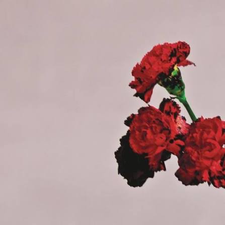 Stream You & I (Nobody in the World) by johnlegend | Listen online for free  on SoundCloud