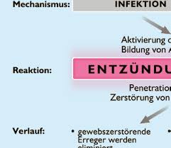 Wie lange dauert eine herzmuskelentzündung? Https Www Herzstiftung De Sites Default Files Media Ks29 Myokarditis 2016 Ks29 Myokarditis 2016 Pdf