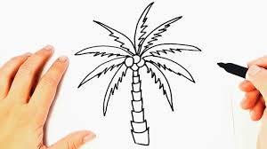 480x360 how to draw a palm tree easy step by step videominecraft.ru. How To Draw A Palm Tree Palm Tree Easy Draw Tutorial Youtube