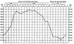 thermoregulation wikipedia